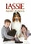 Lassie photo