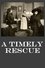 A Timely Rescue photo