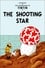 The Shooting Star photo