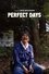 Perfect Days photo