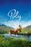 Poly photo