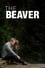 The Beaver photo