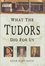 What the Tudors Did for Us photo