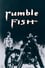 Rumble Fish photo