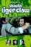 Shaolin Tiger Claw photo