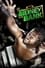 WWE Money in the Bank 2010 photo