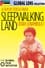 Sleepwalking Land photo