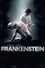 Frankenstein (The Royal Ballet) photo