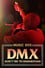 DMX: Don't Try to Understand photo