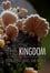 The Kingdom: How Fungi Made Our World photo