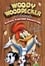 The Woody Woodpecker Show photo