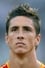 Fernando Torres photo