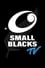 Small Blacks TV photo