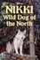 Nikki, Wild Dog of the North photo