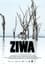 Ziwa photo