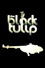 The Black Tulip