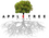 Apple Tree Vision
