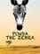 Punda the Zebra photo