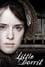 Little Dorrit photo