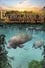 Adventure Everglades 3D - The Manatees of Crystal River photo