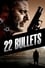 22 Bullets photo