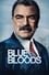 Blue Bloods photo