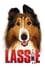 Lassie photo