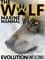 The Wolf: Marine Mammal photo