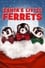 Santa's Little Ferrets photo