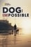 Dog: Impossible photo
