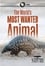 The World's Most Wanted Animal photo