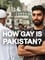 How Gay Is Pakistan? photo