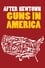 After Newtown: Guns in America photo