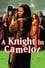A Knight in Camelot photo