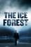 The Ice Forest photo