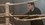 Aflevering 5