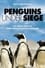 Penguins Under Siege photo