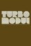 TurboModul photo