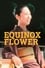 Equinox Flower photo