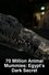 70 Million Animal Mummies: Egypt's Dark Secret photo