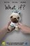 What If? photo