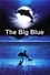 The Big Blue photo