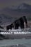 Canada Vignettes: Woolly Mammoth photo