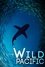 The Wild Pacific photo