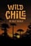 Chile: A Wild Journey - The Special photo