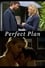 Perfect Plan photo