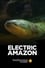 Electric Amazon photo