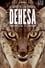 Dehesa: The Forest of the Iberian Lynx photo