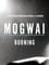 Mogwai: Burning photo