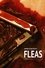 Fleas photo